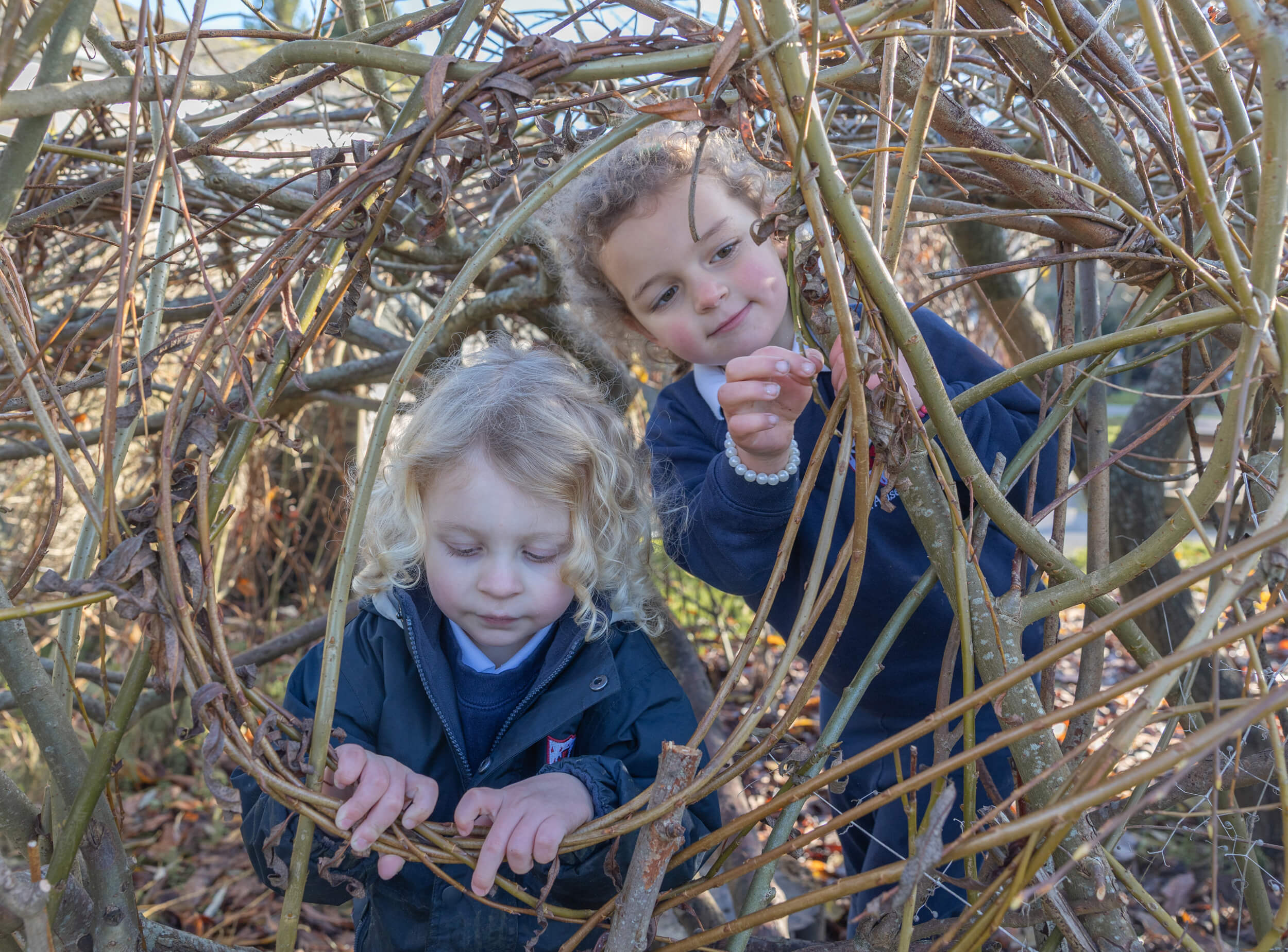Children playing in trees